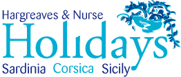 HN Holiday Company Logo